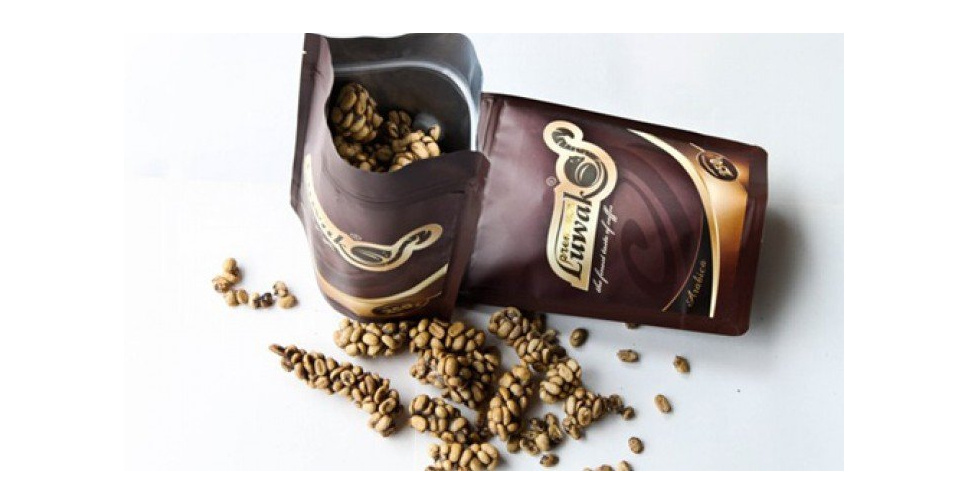 Самый дорогой кофе в мире цена. Кофе Лювак. Копи Лювак кофе. Лювак какашки. Лювак Индонезия.