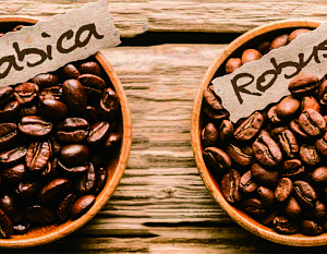 Арабуста: селекционные эксперименты в мире кофе
