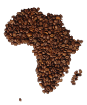 Вкус и аромат африканского кофе