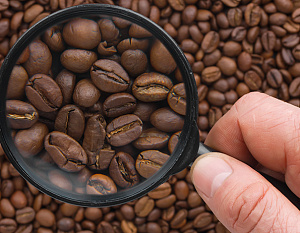 Как выбрать кофе: учитываем сорт, обжарку и даже упаковку