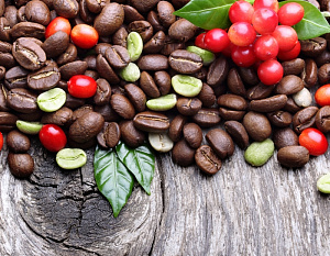 Основные сорта кофейных зерен, их специфические особенности