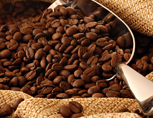 Контрольный пакет Complete Coffee Ltd покупает компания Sucafina