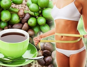 Зеленый кофе – неоднозначный напиток для похудения