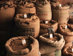 Бразильский форум производителей кофе, влияние напитка на функции кишечника