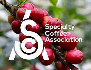 Прошли выборы нового комитета SCA, подведены итоги кофейного года