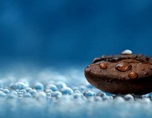 Самостоятельный ремонт кофеварки – быть или не быть?
