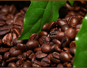Мировые производители кофе стремительно наращивают объемы производства