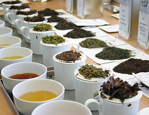История чайных аукционов и инновации в выращивании продукта
