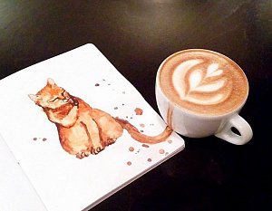 Кофе как искусство и лекарство