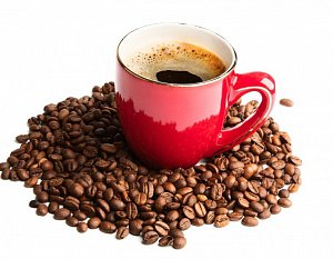 Delonghi ECP: серия рожковых кофемашин для новичков