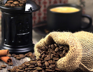 Все секреты о кофе и его приготовлении узнали жители Ульяновска