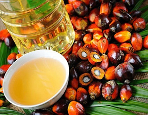 Кофейный жмых и пальмовое масло: что общего у этих двух продуктов