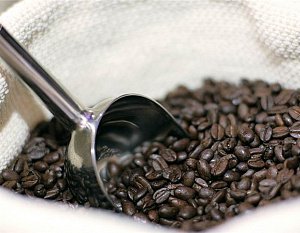 Миру угрожает дефицит кофе: мнение участников Всемирного форума кофе