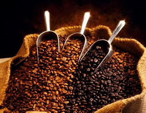 Третья кофейная волна. Как изменилась культура потребления кофе на протяжении века