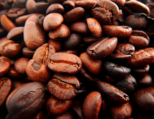 Основные сорта самого дорогостоящего кофе. Пятерка лидеров