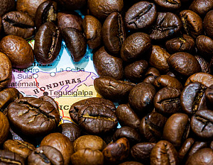Гондурасский президент ратует за сохранение цены на кофе. Напиток помогает избавиться от диабета